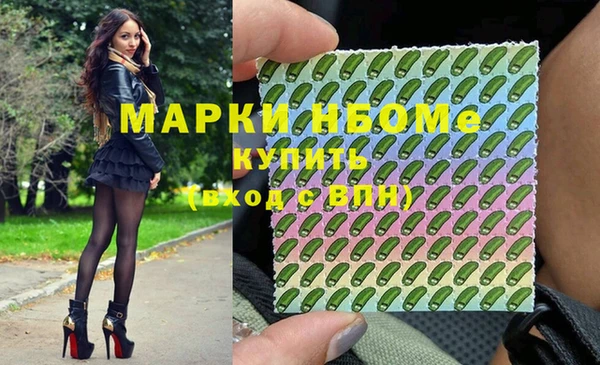 стаф Богородицк