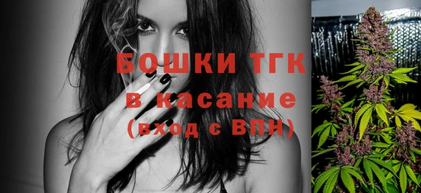 стаф Богородицк